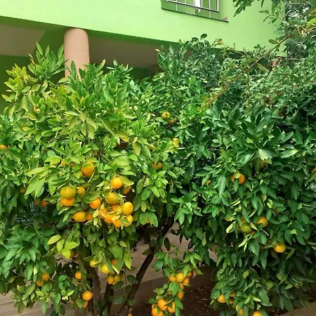 Villa Kuca Za Odmor Lucija *